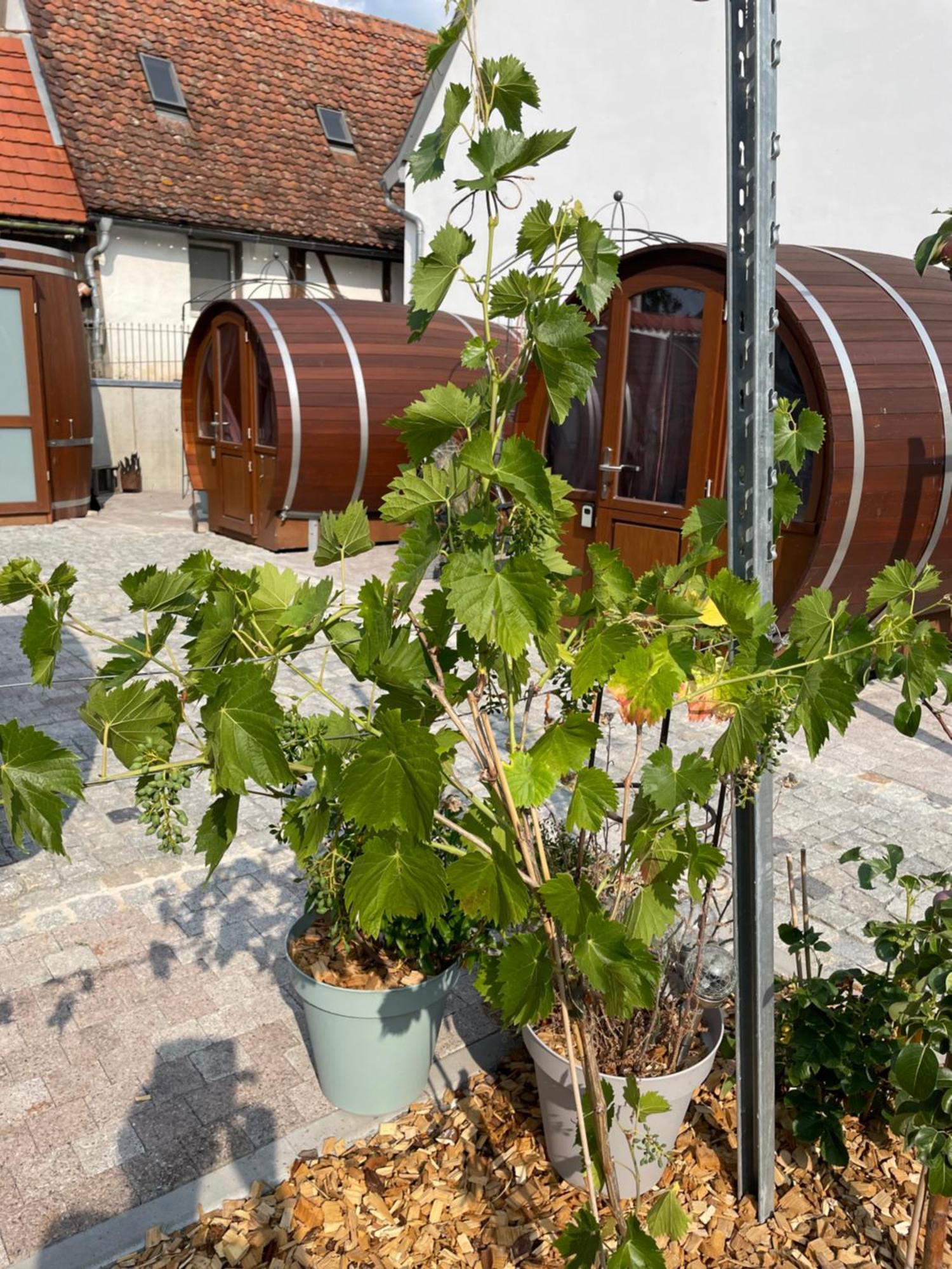 Schlafen Im Weinfass Apartamento Ipsheim Exterior foto